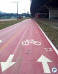 Desejo de ciclovias reflete a necessidade de maior atenção do poder público ao uso da bicicleta na cidade