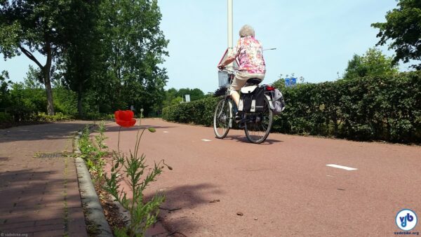 idosa pedala uma bicicleta em uma ciclovia